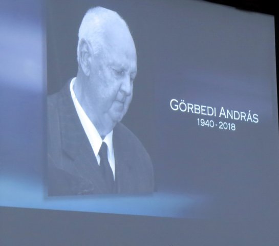 A Város Napja 2019 192